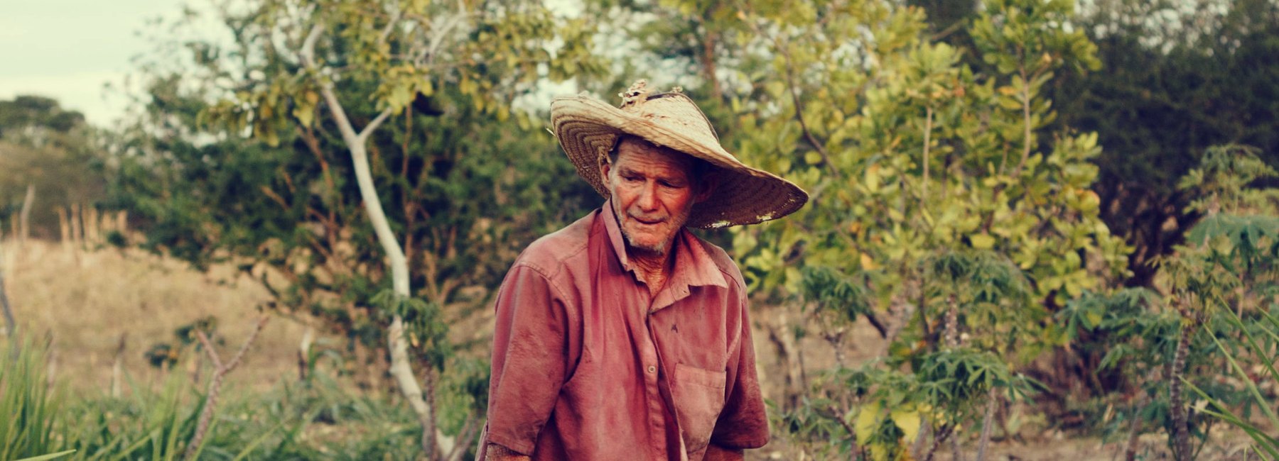 Trabalhador rural de chapéu capina a roça no interior